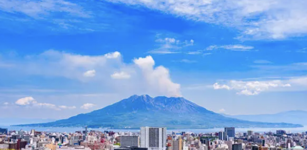 専門的な美容技術